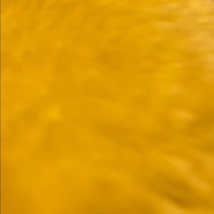 Meet your Posher, Elba